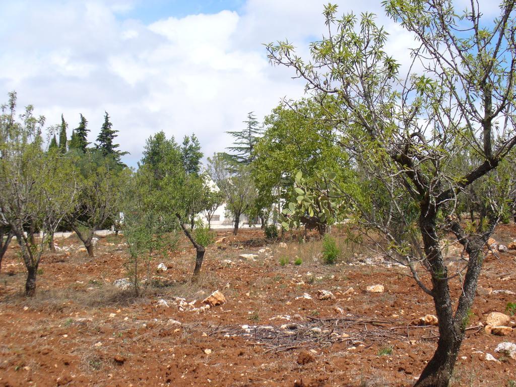 Trullo Riccardo Villa Ostuni Rom bilde